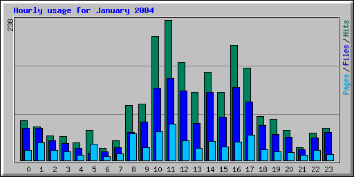 Hourly usage for January 2004